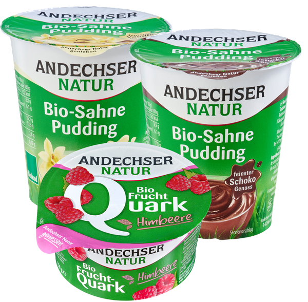 Bio-Pudding oder -Topfencreme