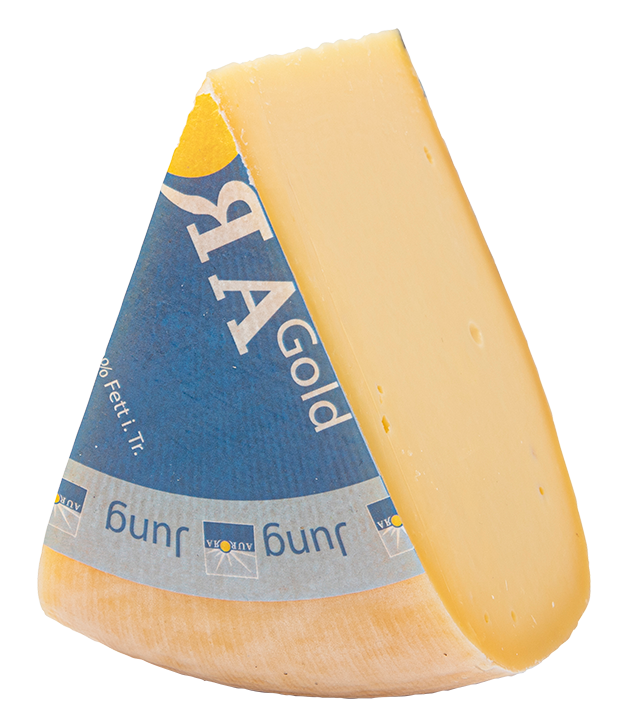 Gouda jung