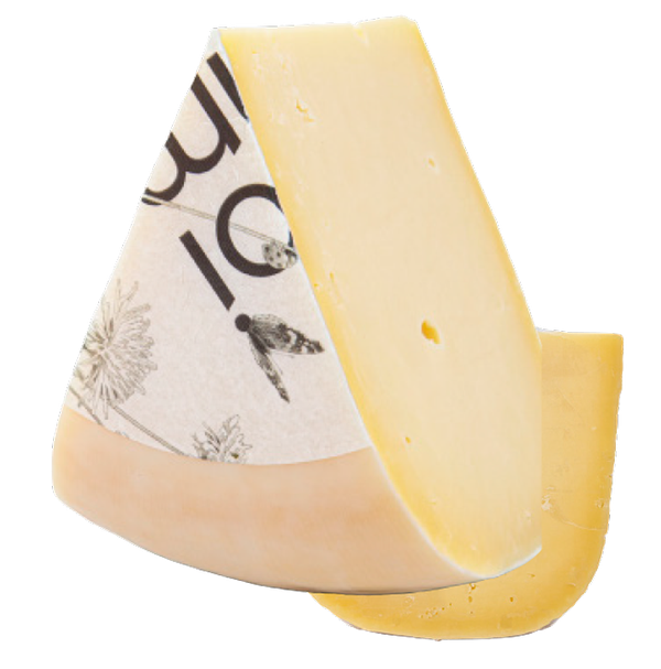 Gouda Jung