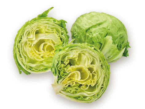 Eisbergsalat